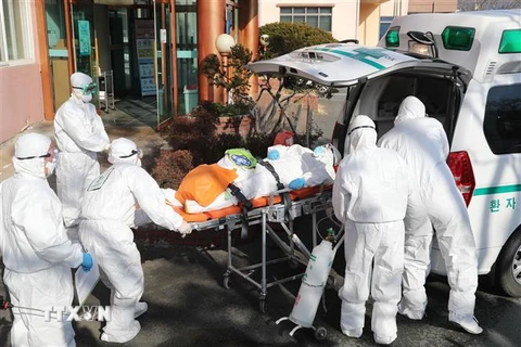Nhân viên y tế chuyển bệnh nhân mắc COVID-19 lên xe cứu thương tại Daegu, Hàn Quốc ngày 21/2/2020. (Ảnh: Yonhap/TTXVN)