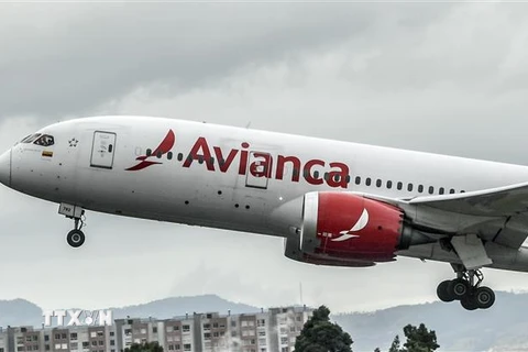 Máy bay của hãng hàng không Avianca tại sân bay quốc tế El Dorado ở Bogota, Colombia ngày 10/5/2020. (Ảnh: AFP/TTXVN)