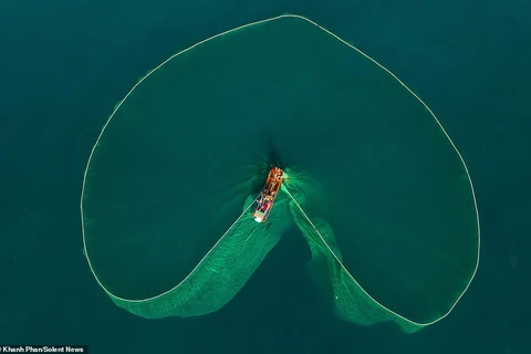 Những bức tranh mê hoặc từ lưới đánh cá trên vùng biển Việt Nam