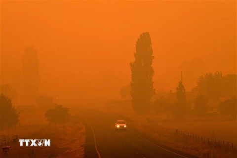 Màn khói dày đặc từ các đám cháy rừng bao phủ thị trấn Bemboka, bang New South Wales, Australia ngày 5/1/2020. (Ảnh: AFP/TTXVN)