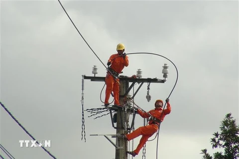 Công nhân Công ty Điện lực Quảng Bình sửa chữa điện lưới. (Ảnh: Đức Thọ/TTXVN)