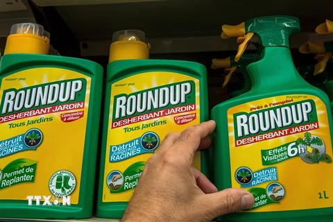 Thuốc diệt cỏ Roundup của hãng Monsanto (Mỹ) được bày bán tại một cửa hàng ở Lille, Pháp. (Ảnh: AFP/TTXVN)