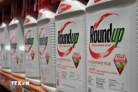 Thuốc diệt cỏ Roundup được bày bán tại cửa hàng ở Glendale, California, Mỹ. (Ảnh: AFP/ TTXVN)