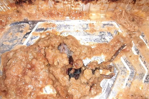 Hình ảnh con chuột chết trong đồ ăn gây kinh hoàng. (Nguồn: DailyMail)