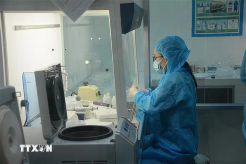 Nhân viên xét nghiệm của Trung tâm Kiểm soát bệnh tật thành phố Đà Nẵng tích cực xét nghiệm các mẫu tiếp xúc gần với bệnh nhân mắc COVID-19. (Ảnh: Văn Dũng/TTXVN)