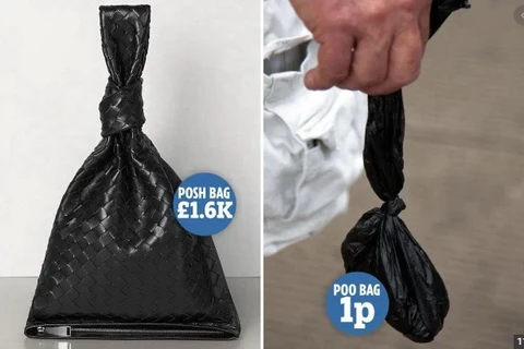 Chiếc túi trị giá 1.650 bảng nhưng được nhiều người nhận xét là trông giống một chiếc túi đựng phân chó khổng lồ. (Nguồn: The Sun)