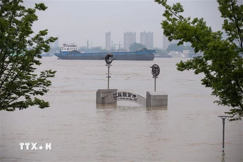 Nước sông dâng cao sau những trận mưa lớn tại Giang Tô, Trung Quốc. (Ảnh: THX/TTXVN)
