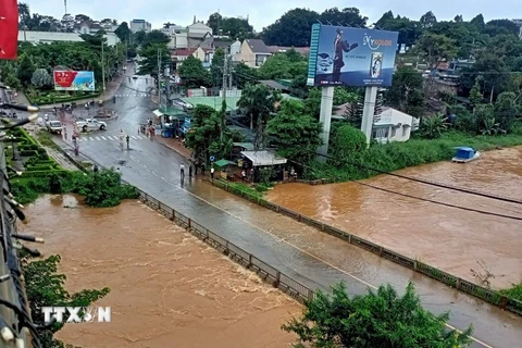 ​Khoảng từ 19 giờ ngày 11/8 đến 19h ngày 12/8, tại nhiều khu vực trong tỉnh Đắk Nông đã xuất hiện mưa to, có nơi mưa rất to. 