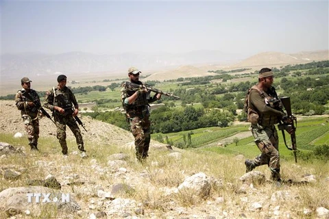 Lực lượng an ninh Afghanistan trong chiến dịch truy quét phiến quân Taliban ở Nangarhar. (Ảnh: THX/TTXVN)