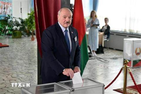 Tổng thống Belarus Alexander Lukashenko bỏ phiếu tại điểm bầu cử Tổng thống ở Minsk, ngày 9/8/2020. (Ảnh: AFP/TTXVN)