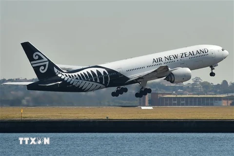 Máy bay của hãng hàng không quốc gia Air New Zealand cất cánh từ sân bay ở Sydney, Australia ngày 23/8/2017. (Ảnh: AFP/TTXVN)