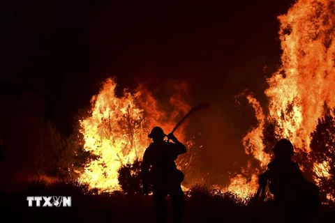 Lính cứu hỏa nỗ lực dập lửa tại đám cháy rừng ở Juniper Hills, bang California, Mỹ ngày 19/9/2020. (Ảnh: AFP/TTXVN)