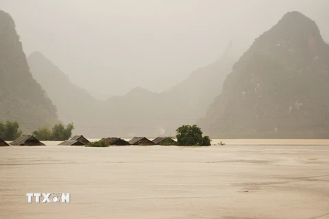 Đến 7 giờ sáng 9/10, toàn xã Minh Hóa, Quảng Bình đã có 550 nhà bị ngập, trong đó nhiều nơi ngập sâu gần 3m. (Ảnh: Văn Tý/TTXVN)