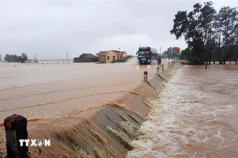 Nước lũ tràn qua đường tai Quảng Trị. (Ảnh: Hồ Cầu/TTXVN)