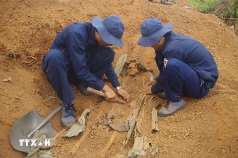 Thành viên đội K52 tìm kiếm, đưa hài cốt liệt sỹ Việt Nam trở về với đất mẹ. (Ảnh: Tư liệu Đội K52 cung cấp/TTXVN phát)
