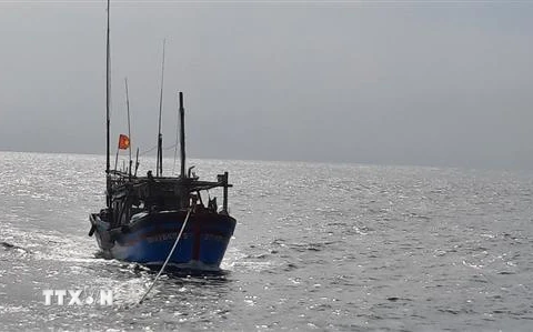 Tàu cá Bình Định. (Ảnh minh họa: TTXVN phát)