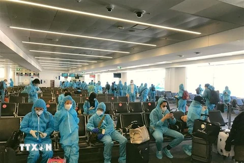 Công dân Việt Nam chờ lên máy bay về nước. (Ảnh minh họa: TTXVN phát)