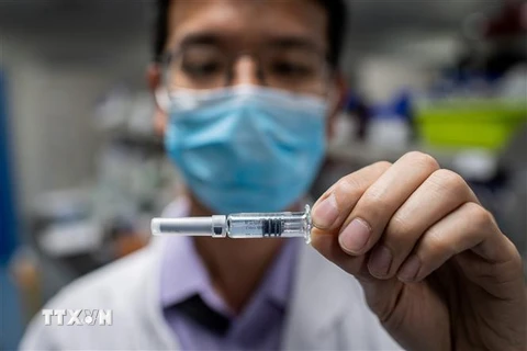 Vắcxin phòng COVID-19 được phát triển bởi công ty công nghệ sinh học Sinovac ở Bắc Kinh, Trung Quốc ngày 29/4/2020. (Ảnh: AFP/TTXVN)