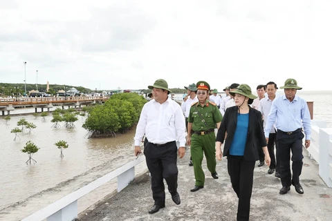Chủ tịch Quốc hội Nguyễn Thị Kim Ngân khảo sát bãi bồi bờ kè tại xã Đất Mũi, huyện Năm Căn. (Ảnh: Trọng Đức/TTXVN)