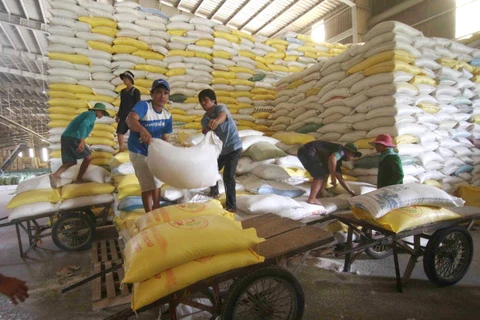 Chuẩn bị nguồn hàng gạo xuất khẩu tại Công ty Lương thực sông Hậu (Tổng công ty Lương thực miền Nam). (Ảnh: TTXVN)