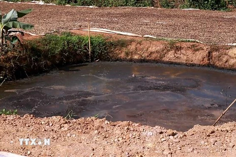 Hồ chứa nước thải từ hoạt động sơ chế cà phê của người dân tại xã Chiềng Đen, thành phố Sơn La. (Ảnh minh họa: Hữu Quyết/TTXVN)