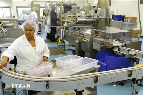 Nhân viên công ty CSL thu nhặt thành phẩm trên dây chuyền sản xuất vắcxin tại Melbourne, Australia. (Ảnh: AFP/TTXVN)