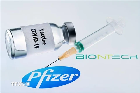 Hình ảnh mô phỏng vắcxin ngừa COVID-19 do hãng dược phẩm Pfizer của Mỹ và BioNTech của Đức hợp tác phát triển. (Ảnh: AFP/TTXVN)