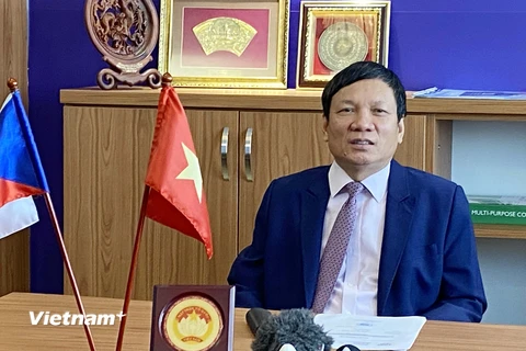 Ông Hoàng Đình Thắng, Chủ tịch Liên hiệp hội người Việt Nam tại châu Âu. (Ảnh: Hồng Kỳ/Vietnam+)