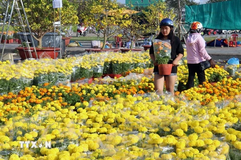 Chiều 10/2/2021 (tức 29 Tết âm lịch), các điểm bán hoa trong nội ô thành phố Rạch Giá (Kiên Giang) có khá đông người đến mua về bày Tết. (Ảnh: Lê Huy Hải/TTXVN)