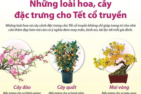 [Infographics] Những loài hoa, cây đặc trưng cho Tết cổ truyền