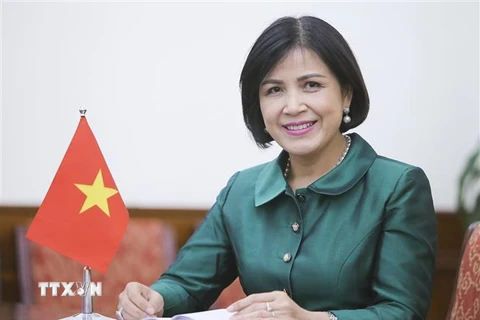 Đại sứ Lê Thị Tuyết Mai, Trưởng Phái đoàn Việt Nam bên cạnh LHQ, WTO và các tổ chức quốc tế khác tại Geneva. (Ảnh: TTXVN/phát)