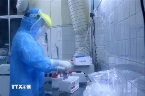 Xét nghiệm mẫu bệnh phẩm liên quan đến virus SARS-CoV-2 tại Trung tâm Y tế dựu phòng Hải Phòng. (Ảnh: Minh Thu/TTXVN)
