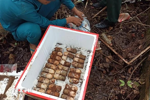 Số đạn được phát hiện trong vườn nhà dân tại Bình Phước. (Ảnh: Đậu Tất Thành/TTXVN)