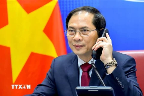 Bộ trưởng Ngoại giao Bùi Thanh Sơn. (Ảnh: TTXVN phát)