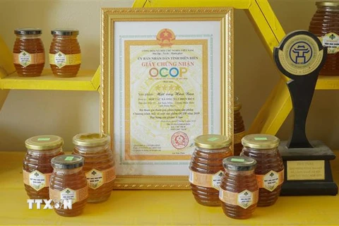 Mật ong Hoa Ban (sản phẩm OCOP 4 sao) là sản phẩm mật ong đặc trưng của Hợp tác xã ong mật Điện Biên. (Ảnh: Xuân Tư/TTXVN)