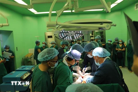 Các bác sỹ đến từ Trung tâm Điều phối ghép tạng Quốc gia, Bệnh viện đại học Y dược Thành phố Hồ Chí Minh và Bệnh viện Bà Rịa tiến hành phẫu thuật lấy tạng bệnh nhân T.H.P, ngụ xã Long Sơn, thành phố Vũng Tàu. (Ảnh: Hoàng Nhị/TTXVN)