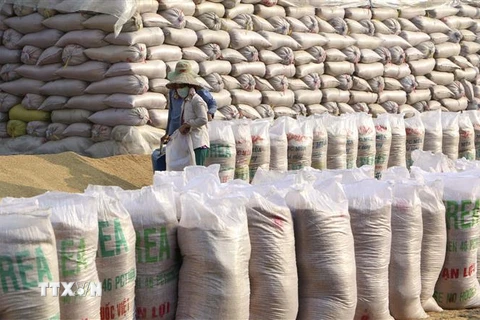 Xuất khẩu gạo Việt Nam sang Anh năm 2020 đã tăng ngoạn mục 116% về lượng và 106% về trị giá so với năm 2019. (Ảnh: TTXVN)