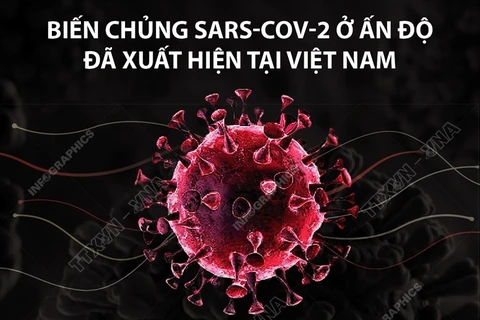 Biến chủng SARS-CoV-2 ở Ấn Độ đã xuất hiện tại Việt Nam