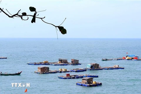 Cụm đảo Hòn Chuối, thị trấn Sông Đốc, huyện Trần Văn Thời, tỉnh Cà Mau là cụm đảo có đông dân cư sinh sống với nghề khai thác biển và nuôi cá lồng bè hiệu quả. (Ảnh: Huỳnh Anh/TTXVN)