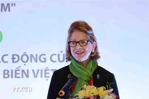  Bà Caitlin Wiesen, Giám đốc Chương trình Phát triển Liên Hợp Quốc tại Việt Nam. (Ảnh: Vũ Sinh/TTXVN)
