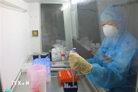 Kỹ thuật viên xét nghiệm tại Bệnh viện Đa khoa Đồng Tháp thực hiện các công đoạn xét nghiệm SARS-CoV-2 bằng phương pháp Realtime PCR. (Ảnh: Chương Đài/TTXVN)