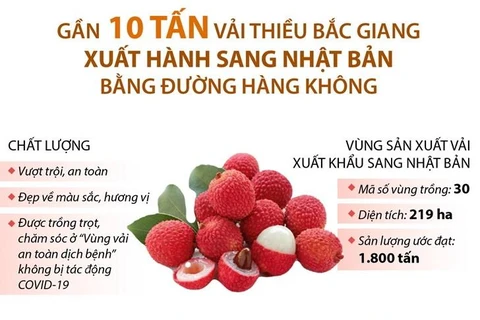 Vải thiều Bắc Giang lần thứ 2 'cất cánh' sang Nhật Bản.