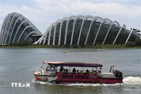 Du khách thăm quan Công viên tự nhiên ở Singapore ngày 28/12/2020. (Ảnh: AFP/TTXVN)