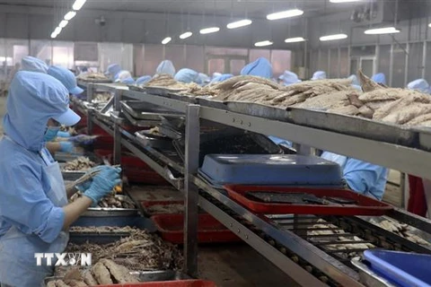 Chế biến cá hộp xuất khẩu tại Khu công nghiệp Cảng cá Tắc Cậu, xã Bình An, huyện Châu Thành (Kiên Giang). (Ảnh: Lê Huy Hải/TTXVN)
