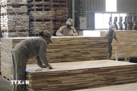 Nhà máy chế biến gỗ và ván sợi công nghiệp MDF tại Nghệ An. (Ảnh: Bích Huệ/TTXVN)