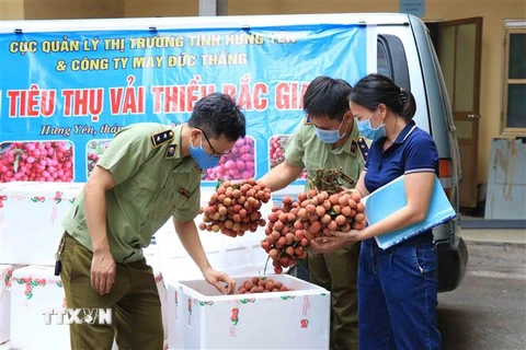 Sản phẩm vải thiều Bắc Giang. (Ảnh: Đinh Tuấn/TTXVN)