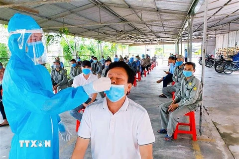 Lực lượng y tế huyện Cẩm Xuyên lấy mẫu xét nghiệm cho cán bộ, công nhân Công ty CP Sao Mai, Hà Tĩnh. (Ảnh: Công Tường/TTXVN)