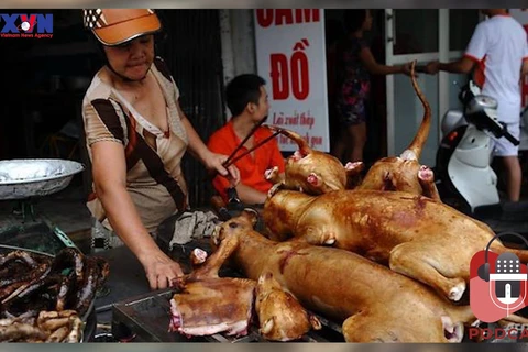 [Audio] Vẫn tiếp tục tranh cãi về chuyện ăn thịt chó tại Việt Nam