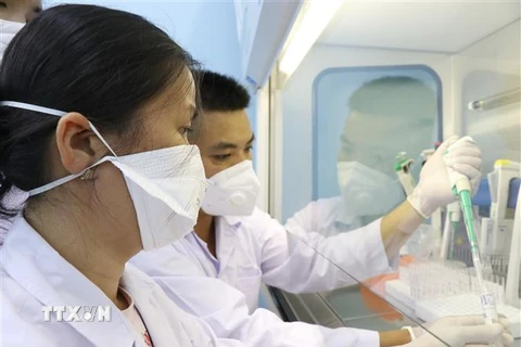Công đoạn gộp mẫu nâng công suất xét nghiệm trong phòng nhận và xử lý mẫu tại CDC Phú Yên. (Ảnh: Phạm Cường/TTXVN)