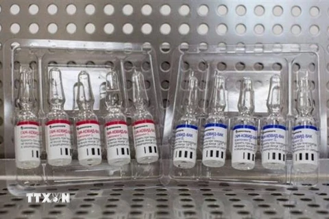 Vaccine Sputnik V phòng COVID-19 do Viện nghiên cứu dịch bệnh và vi trùng học Gamaleya của Nga phát triển. (Ảnh: Bloomberg/TTXVN)